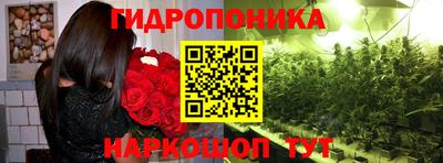 шишки Кизилюрт