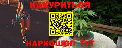 ALPHA PVP Кизляр