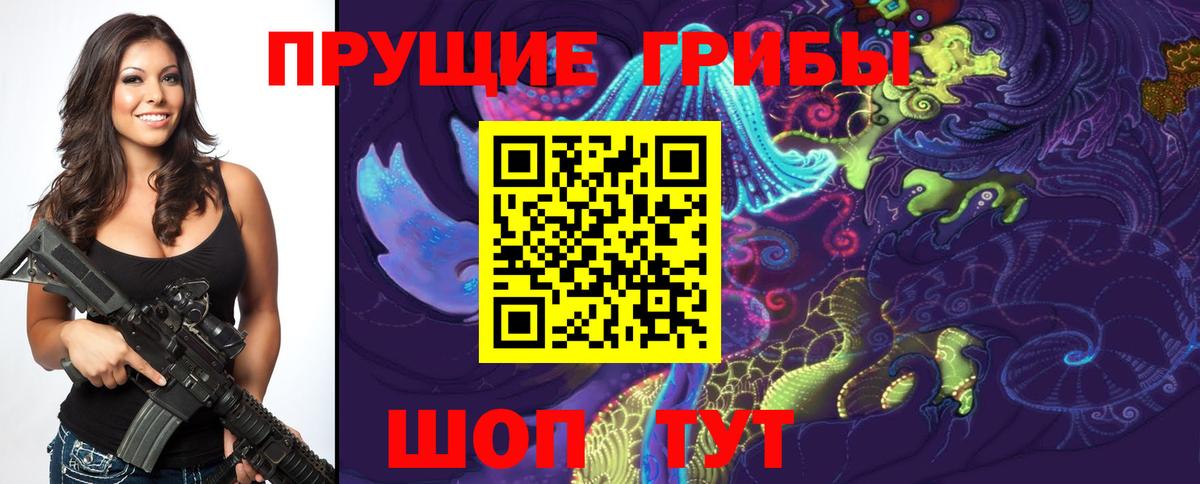 Псилоцибиновые грибы прущие грибы Брянск
